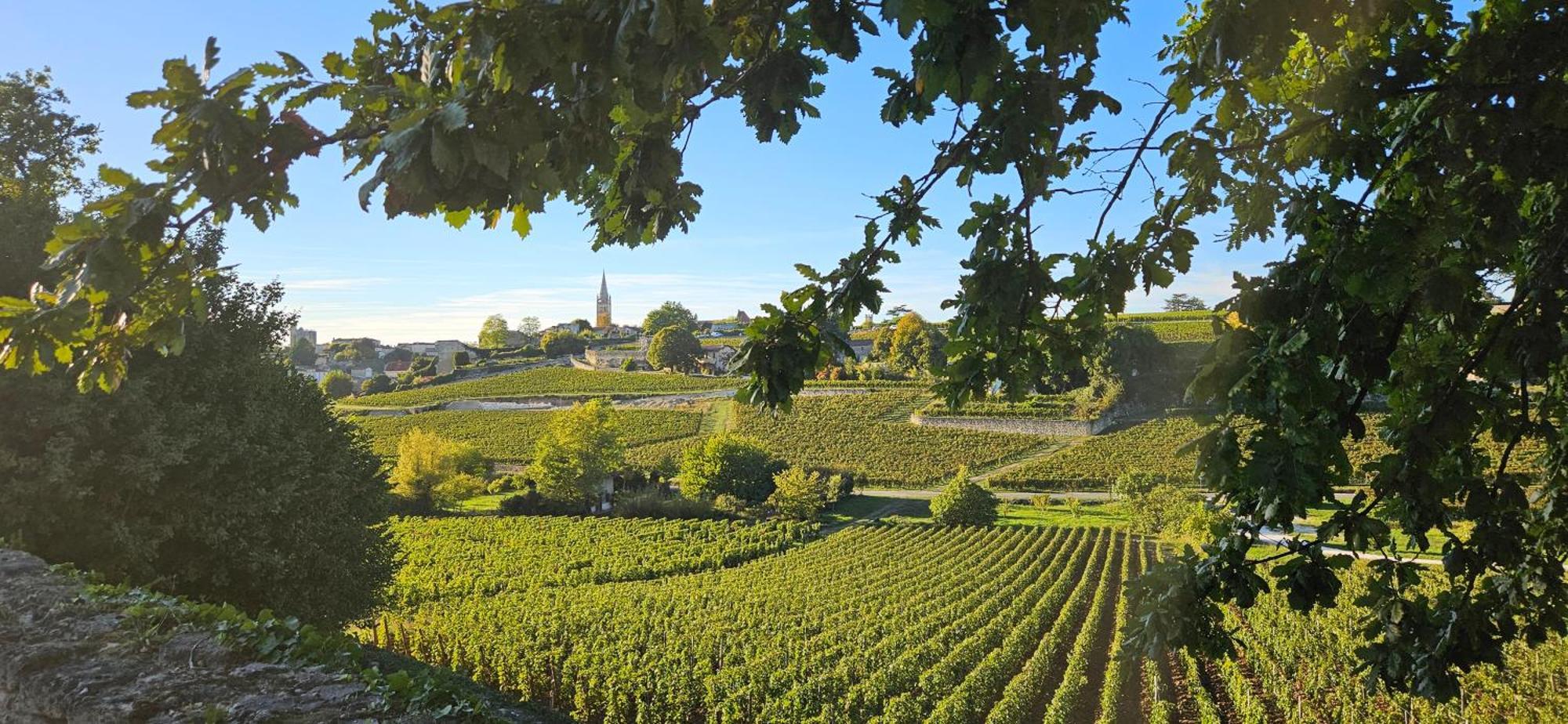 Gite Chateau Touzinat - Saint-Émilion Exteriör bild